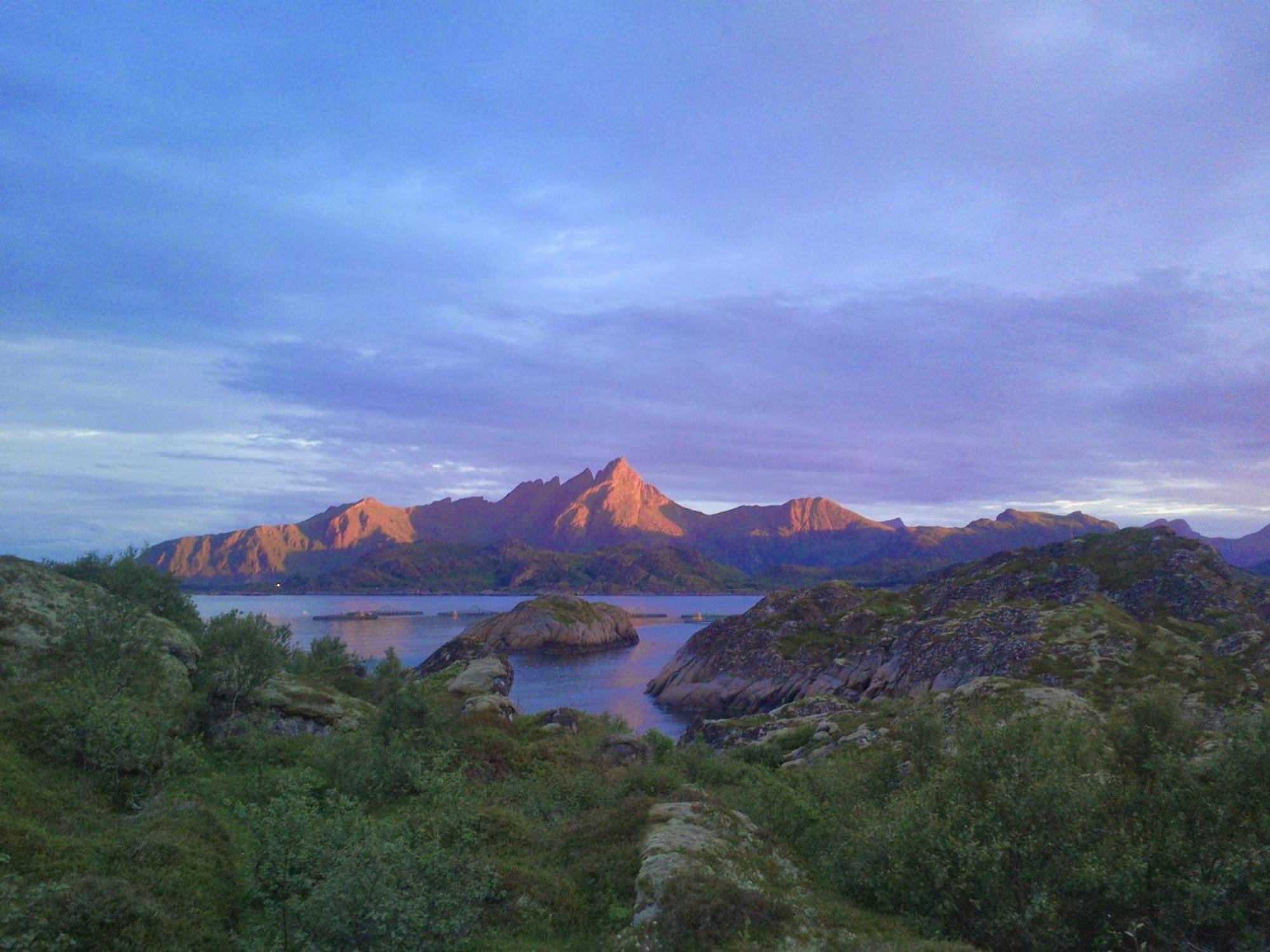 Unique Private Cabin In Lofoten Leknes Buitenkant foto