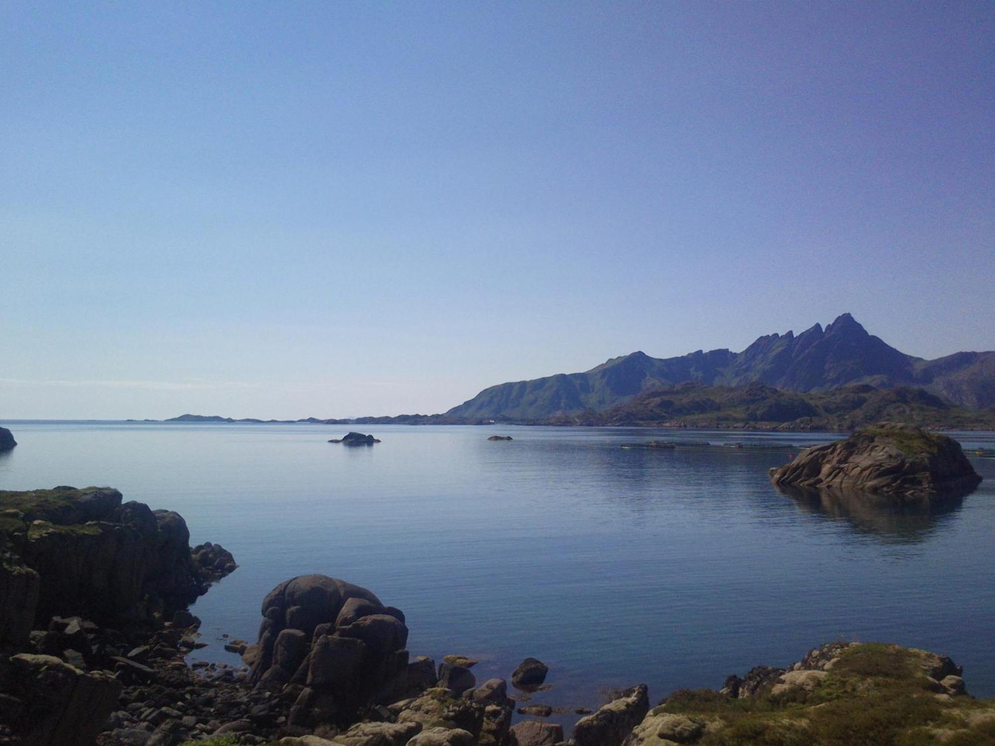Unique Private Cabin In Lofoten Leknes Buitenkant foto